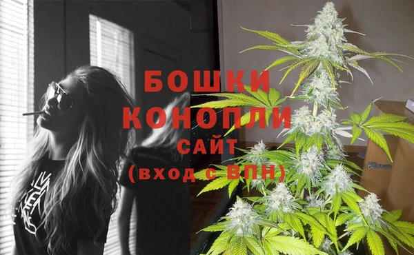 круглые Белокуриха