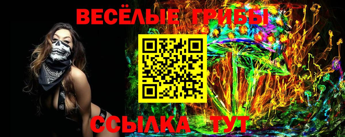 Псилоцибиновые грибы MAGIC MUSHROOMS  Вход с VPN  Малоярославец 